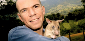 Bart Weetjens com um de seus ratos